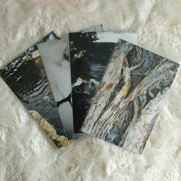 Four Canadian Winter Original Photographs Bark, Twigs, River - Picture 1 of 7